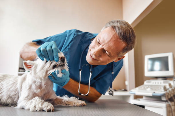 Best Weekend Emergency Dentist in Warrenton, VA